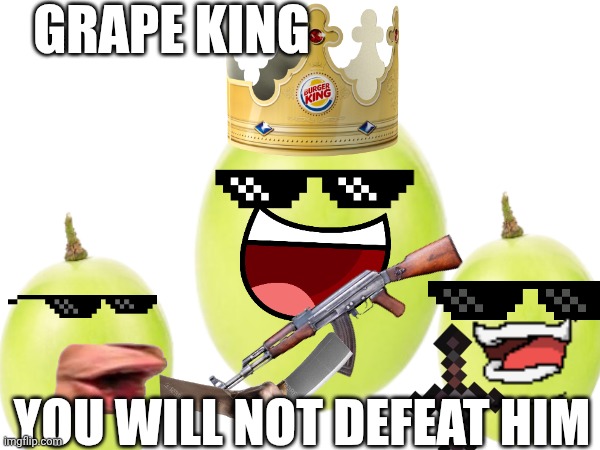 The Grape King (Description in the comments) | GRAPE KING; YOU WILL NOT DEFEAT HIM | image tagged in boss fight,goons,grape | made w/ Imgflip meme maker