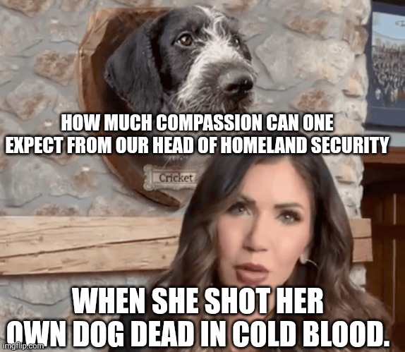 Worse than her plastic surgery is her plastic empathy | HOW MUCH COMPASSION CAN ONE EXPECT FROM OUR HEAD OF HOMELAND SECURITY; WHEN SHE SHOT HER OWN DOG DEAD IN COLD BLOOD. | image tagged in kristi noem cricket mounted head trump election,maga,fascist,murderer | made w/ Imgflip meme maker