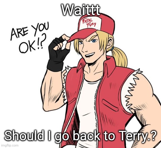 Are you okay!? | Waittt; Should I go back to Terry.? | image tagged in are you okay | made w/ Imgflip meme maker