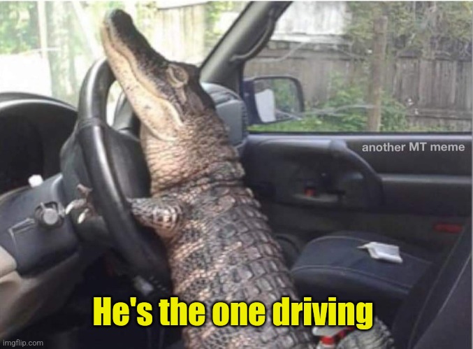 Alligator driving | He's the one driving | image tagged in alligator driving | made w/ Imgflip meme maker