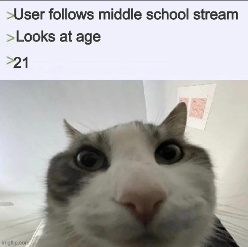 Cat looks inside | User follows middle school stream; Looks at age; 21 | image tagged in cat looks inside | made w/ Imgflip meme maker