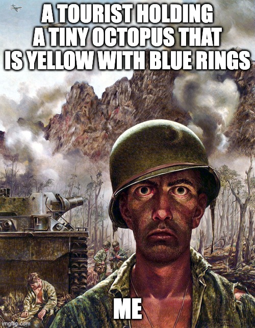 I am going to scream at anyone stupid enough to do this | A TOURIST HOLDING A TINY OCTOPUS THAT IS YELLOW WITH BLUE RINGS; ME | image tagged in 1000 yard stare | made w/ Imgflip meme maker