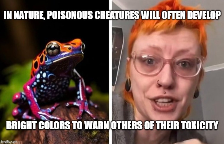Poisonous Creatures | IN NATURE, POISONOUS CREATURES WILL OFTEN DEVELOP; BRIGHT COLORS TO WARN OTHERS OF THEIR TOXICITY | image tagged in poisonous creatures | made w/ Imgflip meme maker
