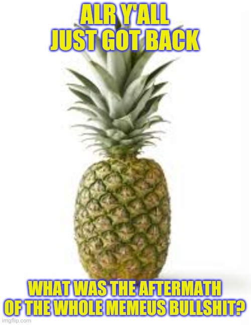Sethamphetamine announcement temp | ALR Y'ALL JUST GOT BACK; WHAT WAS THE AFTERMATH OF THE WHOLE MEMEUS BULLSHIT? | image tagged in sethamphetamine announcement temp | made w/ Imgflip meme maker