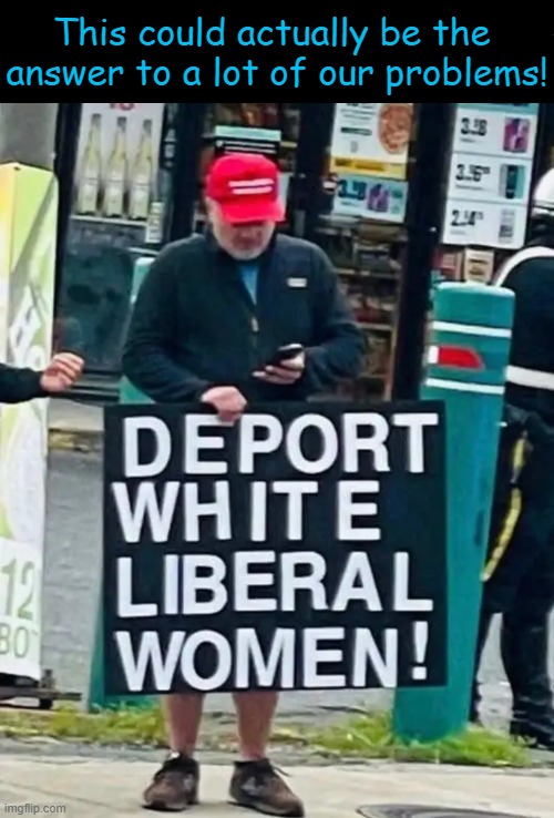 Modern problems require modern solutions | This could actually be the 
answer to a lot of our problems! | image tagged in problem,solution,white woman,the problem is,sjws,karens | made w/ Imgflip meme maker