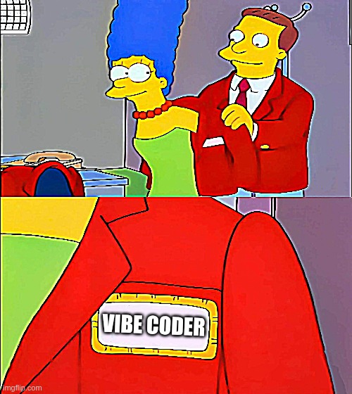 vide coder | VIBE CODER | image tagged in programming | made w/ Imgflip meme maker