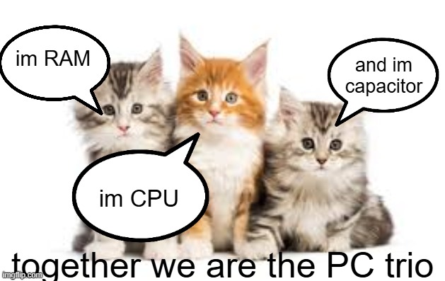 PC Trio.mp3 | image tagged in cats | made w/ Imgflip meme maker