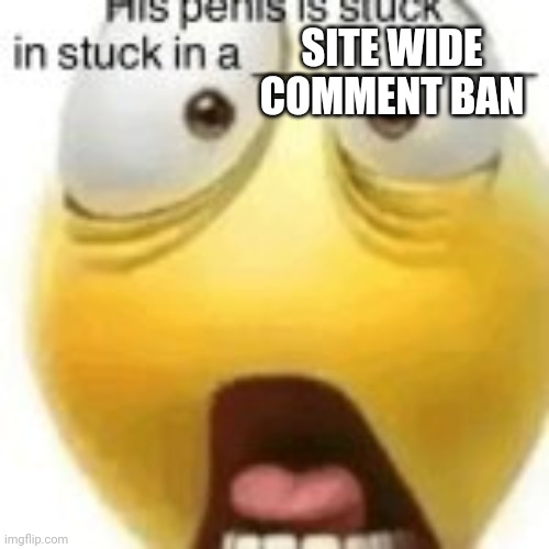 His penis | SITE WIDE COMMENT BAN | image tagged in his penis | made w/ Imgflip meme maker