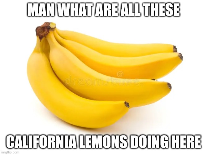 California Lemons | MAN WHAT ARE ALL THESE; CALIFORNIA LEMONS DOING HERE | image tagged in california lemons | made w/ Imgflip meme maker