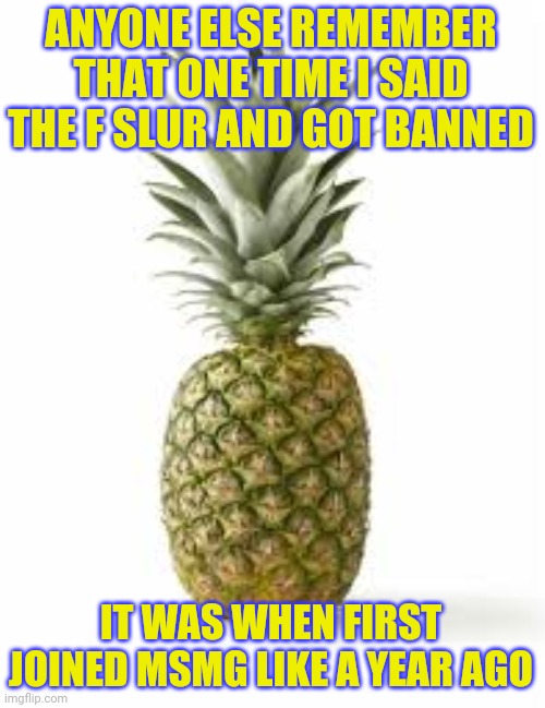 Sethamphetamine announcement temp | ANYONE ELSE REMEMBER THAT ONE TIME I SAID THE F SLUR AND GOT BANNED; IT WAS WHEN FIRST JOINED MSMG LIKE A YEAR AGO | image tagged in sethamphetamine announcement temp | made w/ Imgflip meme maker