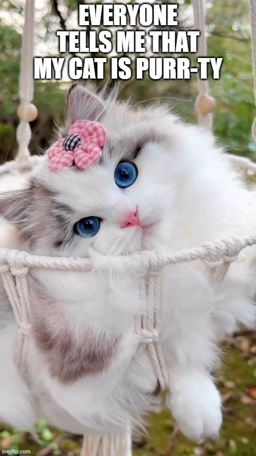 Everyone says my is so purr-tee. | EVERYONE TELLS ME THAT MY CAT IS PURR-TY | image tagged in cats,funny,pretty,kittens,humor,play on words | made w/ Imgflip meme maker