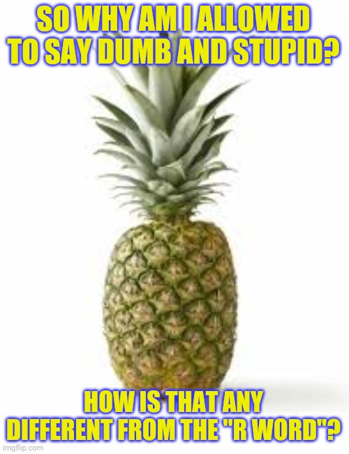 Sethamphetamine announcement temp | SO WHY AM I ALLOWED TO SAY DUMB AND STUPID? HOW IS THAT ANY DIFFERENT FROM THE "R WORD"? | image tagged in sethamphetamine announcement temp | made w/ Imgflip meme maker