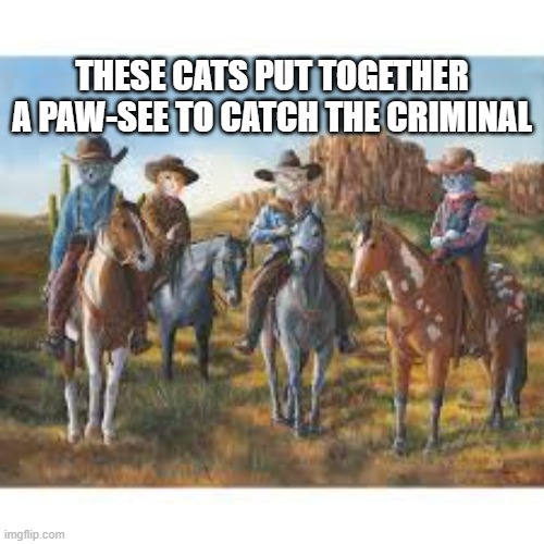 These cats put together a paw-see to catch the criminal.  - funny - | THESE CATS PUT TOGETHER A PAW-SEE TO CATCH THE CRIMINAL | image tagged in cats,funny,kittens,horses,humor,play on words | made w/ Imgflip meme maker