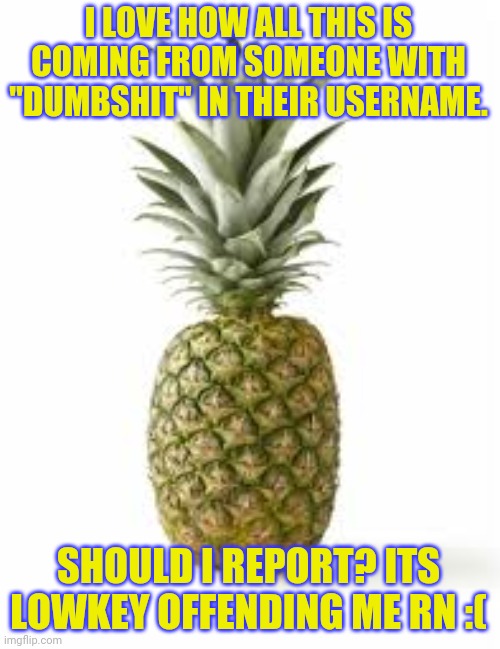 Sethamphetamine announcement temp | I LOVE HOW ALL THIS IS COMING FROM SOMEONE WITH "DUMBSHIT" IN THEIR USERNAME. SHOULD I REPORT? ITS LOWKEY OFFENDING ME RN :( | image tagged in sethamphetamine announcement temp | made w/ Imgflip meme maker