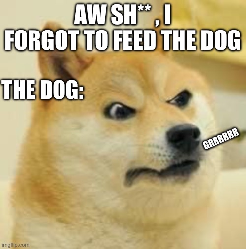 angry doge | AW SH** , I FORGOT TO FEED THE DOG; THE DOG:; GRRRRRR | image tagged in angry doge | made w/ Imgflip meme maker