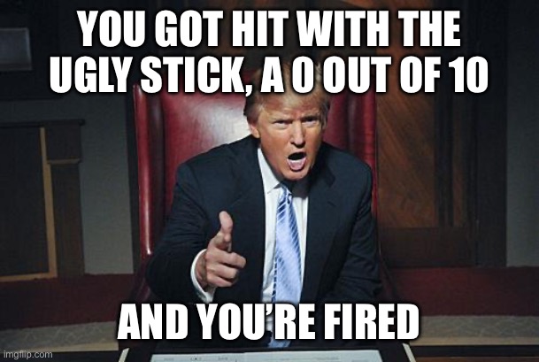YOU GOT HIT WITH THE UGLY STICK, A 0 OUT OF 10 AND YOU’RE FIRED | image tagged in donald trump you're fired | made w/ Imgflip meme maker