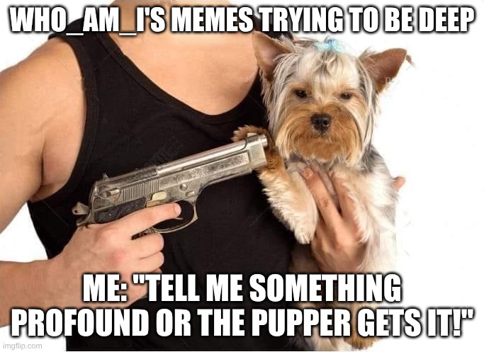 dog hostage | WHO_AM_I'S MEMES TRYING TO BE DEEP; ME: "TELL ME SOMETHING PROFOUND OR THE PUPPER GETS IT!" | image tagged in dog hostage | made w/ Imgflip meme maker