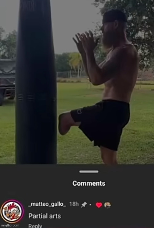 bro prolly does taekwondo | image tagged in martial arts,partial arts | made w/ Imgflip meme maker