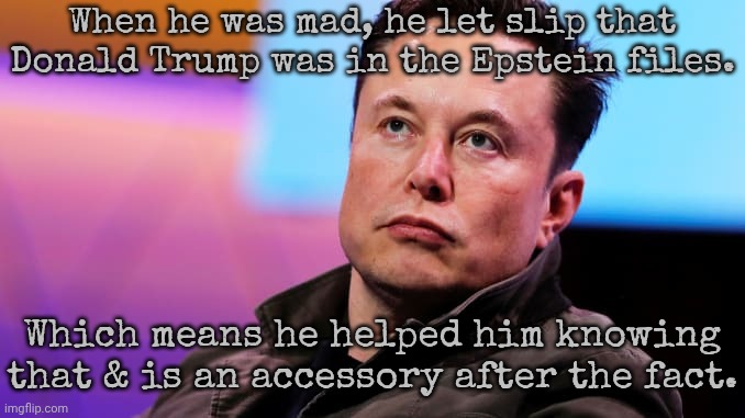 That's a deportable offense nowadays. | When he was mad, he let slip that Donald Trump was in the Epstein files. Which means he helped him knowing that & is an accessory after the fact. | image tagged in when you see that something bad happens,partners in crime,confession,congratulations you played yourself,presidential race | made w/ Imgflip meme maker
