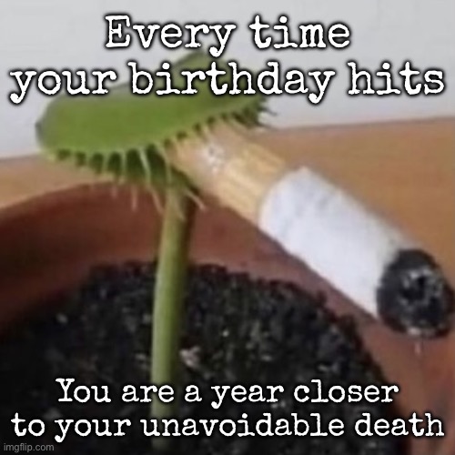 plant weeds | Every time your birthday hits; You are a year closer to your unavoidable death | image tagged in plant weeds,msmg | made w/ Imgflip meme maker