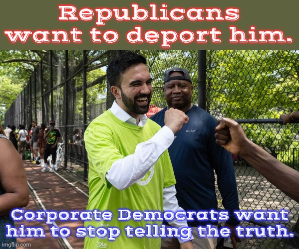 A big threat to the establishment. | Republicans want to deport him. Corporate Democrats want him to stop telling the truth. | image tagged in zohran mamdani,socialist,muslim,indian,immigrant | made w/ Imgflip meme maker