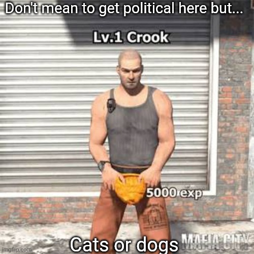 Lv 1 crook | Don't mean to get political here but... Cats or dogs | image tagged in lv 1 crook | made w/ Imgflip meme maker