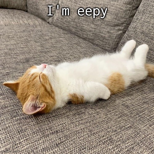 Goon night | I'm eepy | image tagged in eepy kitty | made w/ Imgflip meme maker