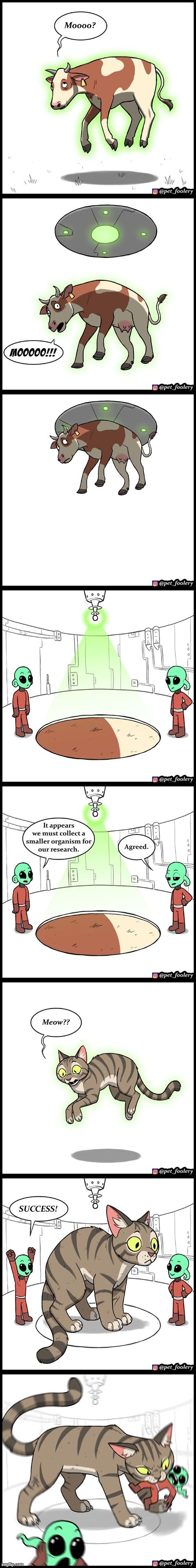 image tagged in cow,spaceship,aliens,small,cat,oh dear | made w/ Imgflip meme maker