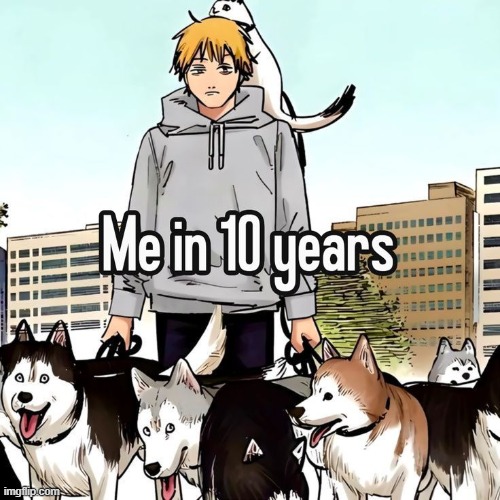 image tagged in memes | made w/ Imgflip meme maker