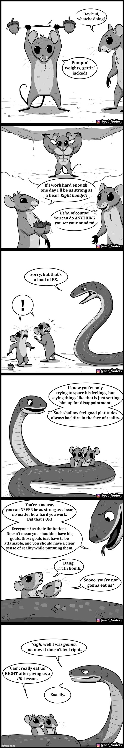 image tagged in mice,weight lifting,strong,bear,snake,wisdom | made w/ Imgflip meme maker