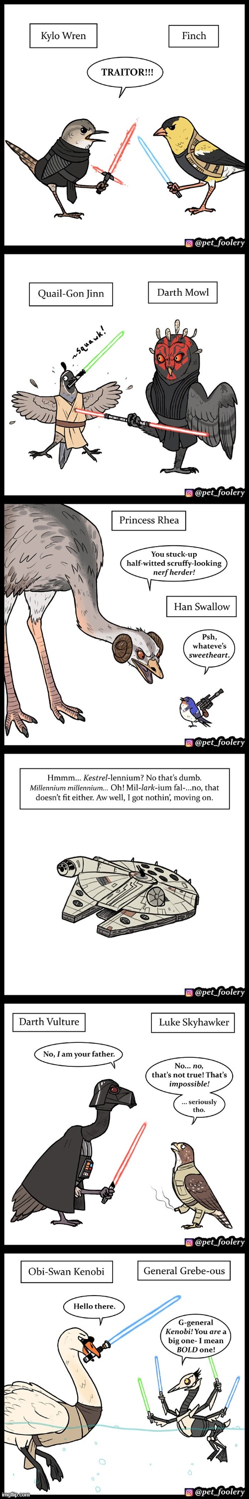 Star Warblers | image tagged in star wars,birds,puns,characters,millennium falcon,i am your father | made w/ Imgflip meme maker