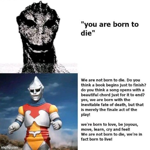 image tagged in memes | made w/ Imgflip meme maker