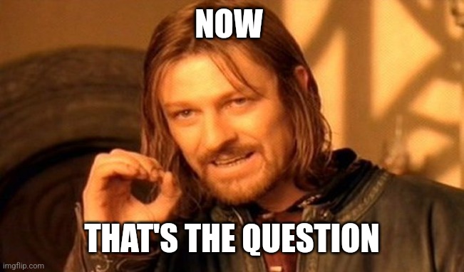 NOW THAT'S THE QUESTION | image tagged in memes,one does not simply | made w/ Imgflip meme maker