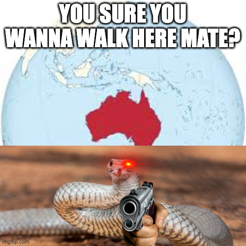 YOU SURE YOU WANNA WALK HERE MATE? | made w/ Imgflip meme maker