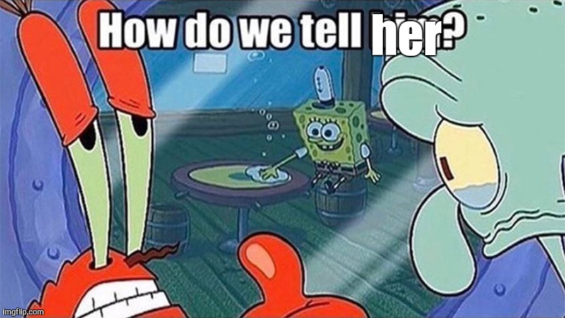 How do we tell him | her | image tagged in how do we tell him | made w/ Imgflip meme maker