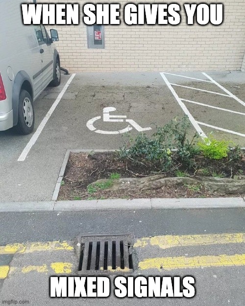 mixed signals | WHEN SHE GIVES YOU; MIXED SIGNALS | image tagged in handicapped parking space | made w/ Imgflip meme maker