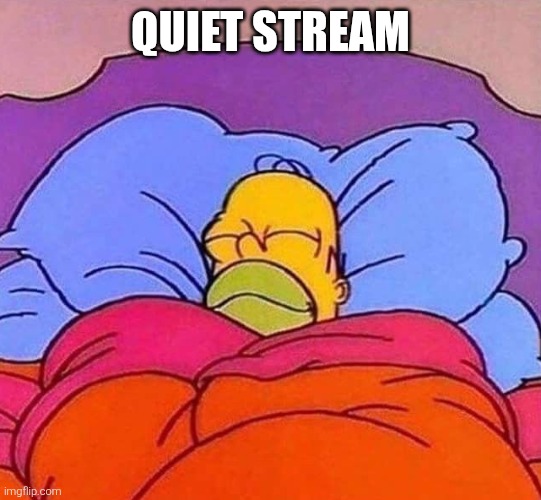 It's a beautiful moment for the Understream.DSD is at zero, posts are (kinda) rare.On days like these, we should enjoy peace. | QUIET STREAM | image tagged in homer simpson sleeping peacefully,quiet stream | made w/ Imgflip meme maker