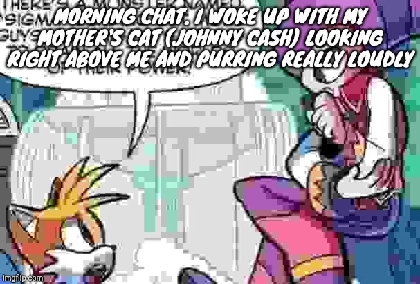 Boi what is tails on about | MORNING CHAT. I WOKE UP WITH MY MOTHER'S CAT (JOHNNY CASH) LOOKING RIGHT ABOVE ME AND PURRING REALLY LOUDLY | image tagged in boi what is tails on about | made w/ Imgflip meme maker