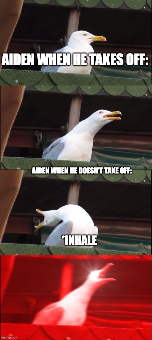 Inhaling Seagull | AIDEN WHEN HE TAKES OFF:; AIDEN WHEN HE DOESN'T TAKE OFF:; *INHALE | image tagged in memes,inhaling seagull | made w/ Imgflip meme maker