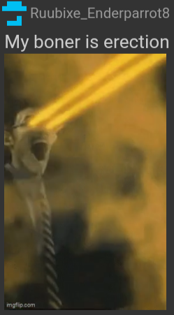 My boner is erection Blank Meme Template