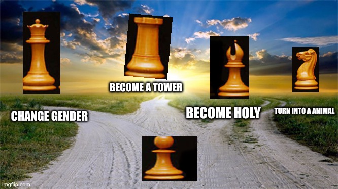 ♟️ | BECOME A TOWER; BECOME HOLY; TURN INTO A ANIMAL; CHANGE GENDER | image tagged in fork in the road 4 ways | made w/ Imgflip meme maker