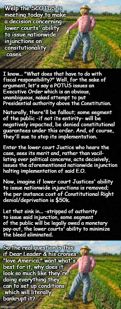 Well howdy, Trump-cult kids, it's Socialism again and today's topic is conspiracy to commit fiscal irresponsibility. | Welp the SCOTUS is
meeting today to make
a decision concerning
lower courts' ability
to issue nationwide
injunctions on
consitutionality
 cases. I know... "What does that have to do with
fiscal responsibility?" Well, for the sake of
argument, let's say a POTUS issues an
Executive Order which is an obvious,
unambiguous, naked attempt to put
Presidential authority above the Constitution. Naturally, there'll be fallout; some segment
of the public -if not its entirity- will be
negatively impacted, be denied constitutional
guarantees under this order. And, of course,
they'll sue to stop its implementation. Enter the lower court Justice who hears the
case, sees its merit and, rather than vacil-
lating over political concerns, acts decisively,
issues the aforementioned nationwide injunction
halting implementation of said E.O. Now, imagine if lower court Justices' ability
to issue nationwide injunctions is removed;
the per instance cost of Constitutional Right
denial/deprivation is $50k. Let that sink in... -stripped of authority
to issue said injunction, some segment
of the public will be legally owed a monetary
pay-out, the lower courts' ability to minimize
the bleed eliminated. So the real question is this:
if Dear Leader & his cronies
"love America," want what's
best for it, why does it
look so much like they're
doing everything they
can to set up conditions
 which will literally
bankrupt it? | image tagged in fiscal responsibility,trump unfit unqualified dangerous,saboteur,cronyism,conspiracy | made w/ Imgflip meme maker