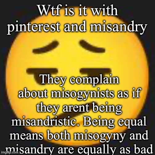 disappointment. | Wtf is it with pinterest and misandry; They complain about misogynists as if they arent being misandristic. Being equal means both misogyny and misandry are equally as bad | image tagged in disappointment | made w/ Imgflip meme maker