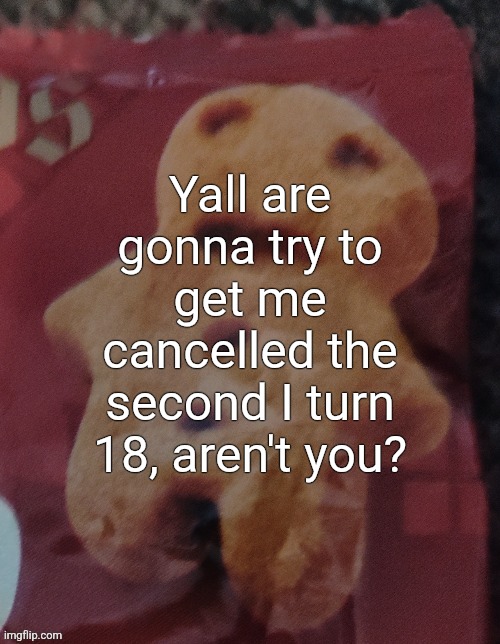Cookie | Yall are gonna try to get me cancelled the second I turn 18, aren't you? | image tagged in cookie | made w/ Imgflip meme maker