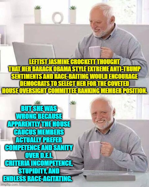 Who knew, eh? | LEFTIST JASMINE CROCKETT THOUGHT THAT HER BARACK OBAMA STYLE EXTREME ANTI-TRUMP SENTIMENTS AND RACE-BAITING WOULD ENCOURAGE DEMOCRATS TO SELECT HER FOR THE COVETED HOUSE OVERSIGHT COMMITTEE RANKING MEMBER POSITION. BUT SHE WAS WRONG BECAUSE APPARENTLY THE HOUSE CAUCUS MEMBERS ACTUALLY PREFER COMPETENCE AND SANITY OVER D.E.I. CRITERIA INCOMPETENCE, STUPIDITY, AND ENDLESS RACE-AGITATING. | image tagged in hide the pain harold | made w/ Imgflip meme maker