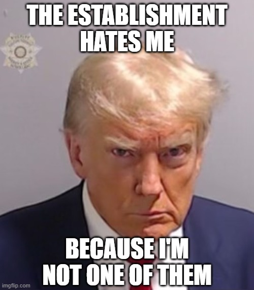 Donald Trump Mugshot | THE ESTABLISHMENT HATES ME; BECAUSE I'M NOT ONE OF THEM | image tagged in donald trump mugshot | made w/ Imgflip meme maker