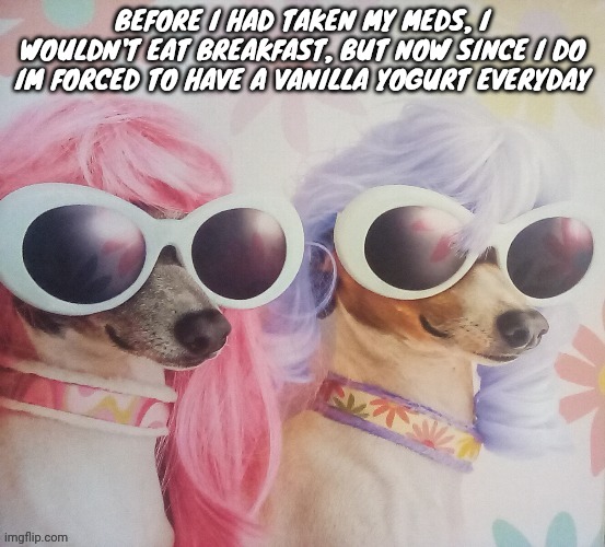 Groovy dawgs | BEFORE I HAD TAKEN MY MEDS, I WOULDN'T EAT BREAKFAST, BUT NOW SINCE I DO IM FORCED TO HAVE A VANILLA YOGURT EVERYDAY | image tagged in groovy dawgs | made w/ Imgflip meme maker