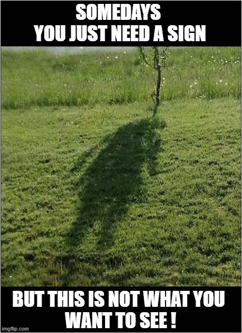 When You Need To Make A Decision In Life ... | SOMEDAYS 
YOU JUST NEED A SIGN; BUT THIS IS NOT WHAT YOU 
WANT TO SEE ! | image tagged in life,decisions,signs,shadows,dark humour | made w/ Imgflip meme maker