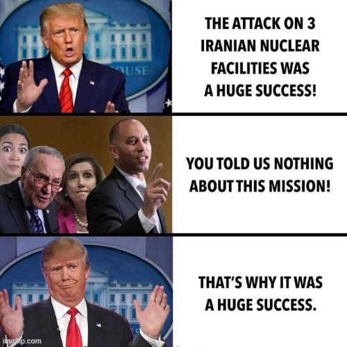 DJT vs The Mob | image tagged in donald trump,iran,democrats | made w/ Imgflip meme maker