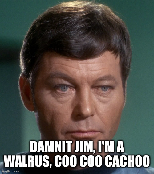 McCoy Damnit | DAMNIT JIM, I'M A WALRUS, COO COO CACHOO | image tagged in mccoy damnit | made w/ Imgflip meme maker